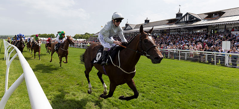 Summer Finale Weekend