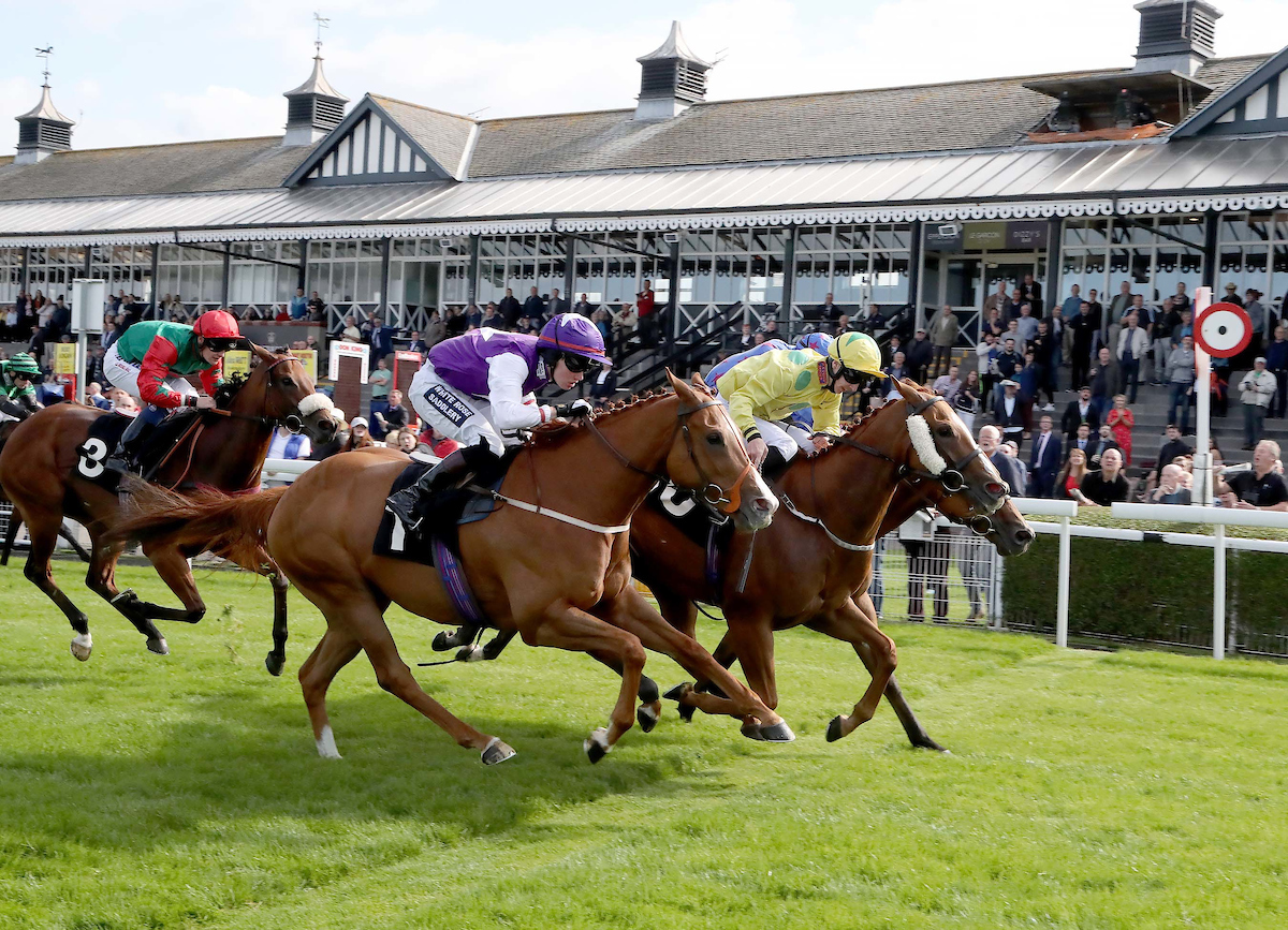 Afternoon Raceday Featuring Boogie in the Morning