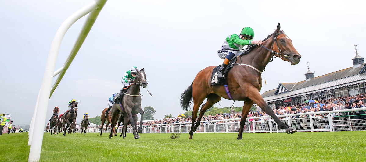 The Max Recycle Raceday