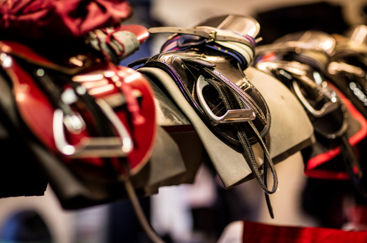 Grandstand Membership 2026