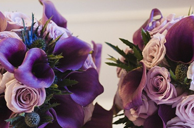 Spring Summer Wedding Collections